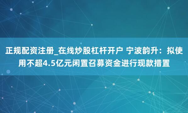 正规配资注册_在线炒股杠杆开户 宁波韵升：拟使用不超4.5亿元闲置召募资金进行现款措置