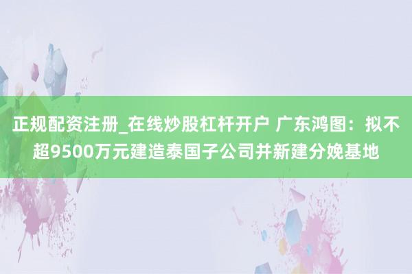 正规配资注册_在线炒股杠杆开户 广东鸿图：拟不超9500万元建造泰国子公司并新建分娩基地