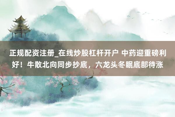 正规配资注册_在线炒股杠杆开户 中药迎重磅利好！牛散北向同步抄底，六龙头冬眠底部待涨