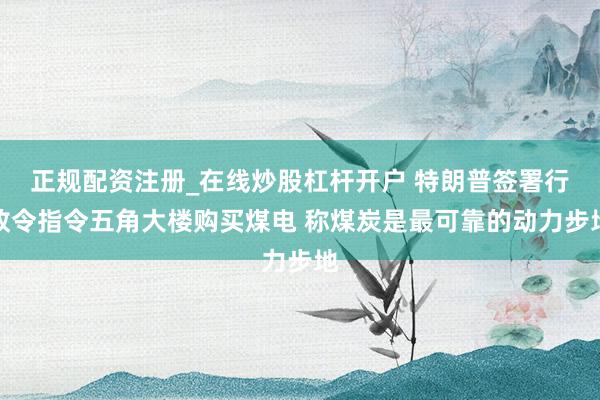 正规配资注册_在线炒股杠杆开户 特朗普签署行政令指令五角大楼购买煤电 称煤炭是最可靠的动力步地