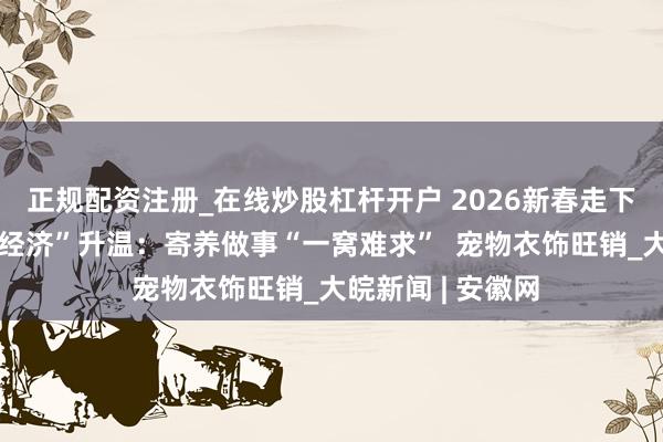 正规配资注册_在线炒股杠杆开户 2026新春走下层丨节前“萌宠经济”升温：寄养做事“一窝难求”  宠物衣饰旺销_大皖新闻 | 安徽网